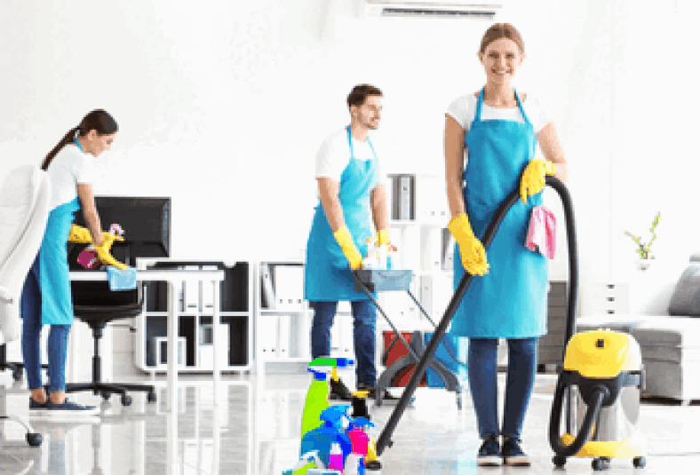 Day To Day House Cleaning Services